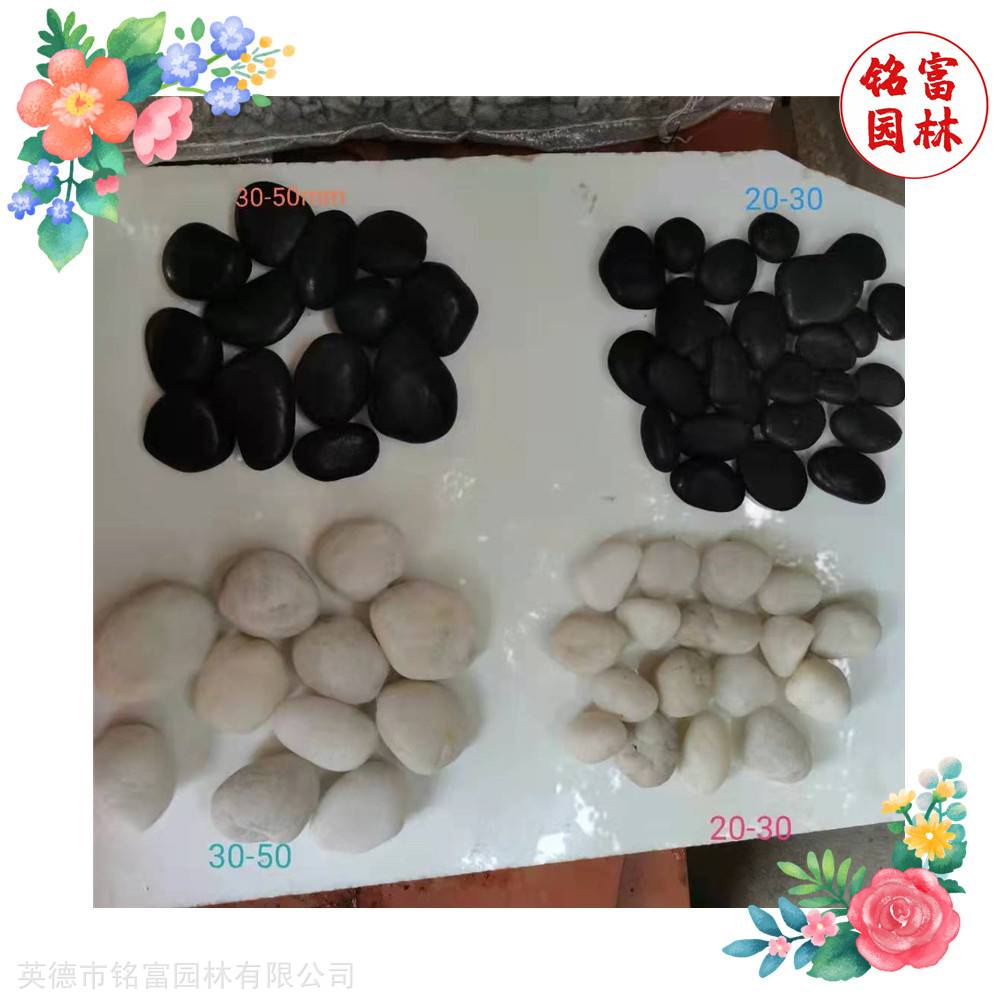 花园路径铺路石-白色鹅卵石-茂名鹅卵石厂家(图1) 花园路径铺路石-白色鹅卵石-茂名鹅卵石厂家(图1)