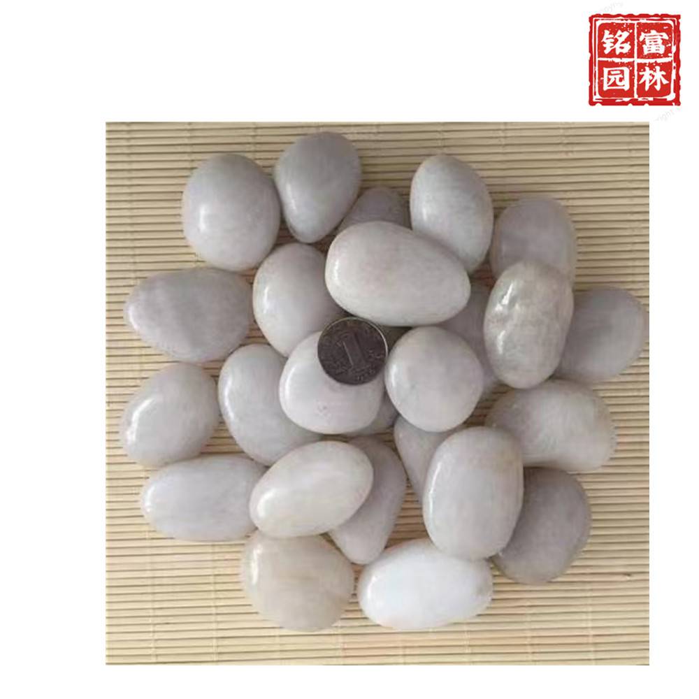 花园路径铺路石-白色鹅卵石-茂名鹅卵石厂家(图13) 花园路径铺路石-白色鹅卵石-茂名鹅卵石厂家(图13)