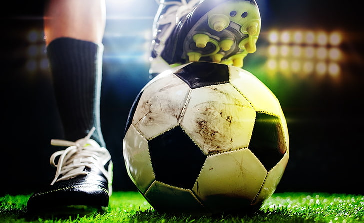 乐鱼体育最新官网常用的室内体育健身器材